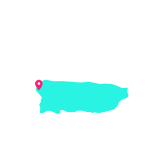 WELAS Transport