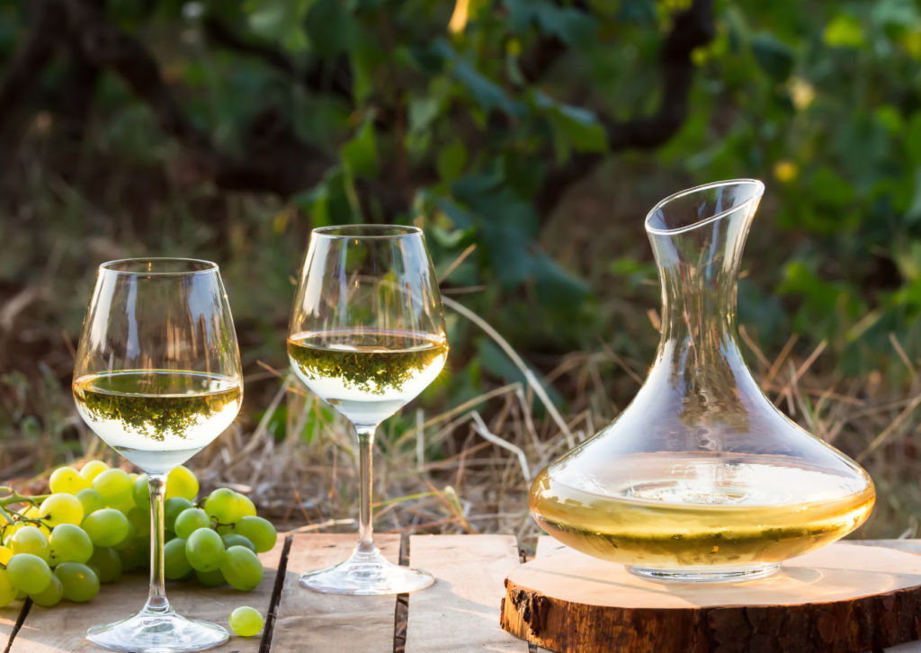 Sauvignon Blanc Pairing
