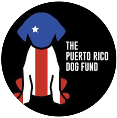 The Puerto Rico Dog Fund