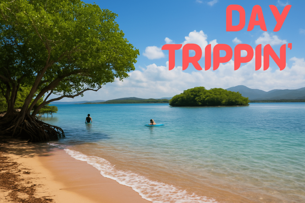 Day Trip Guide