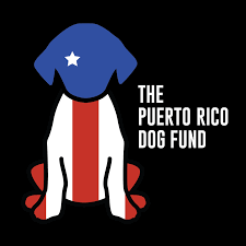 PR Dog Fund