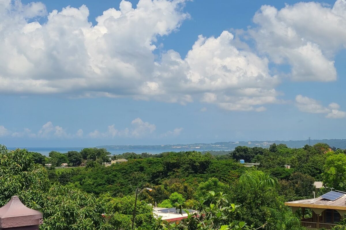 Mental Health and Wellness in Rincon