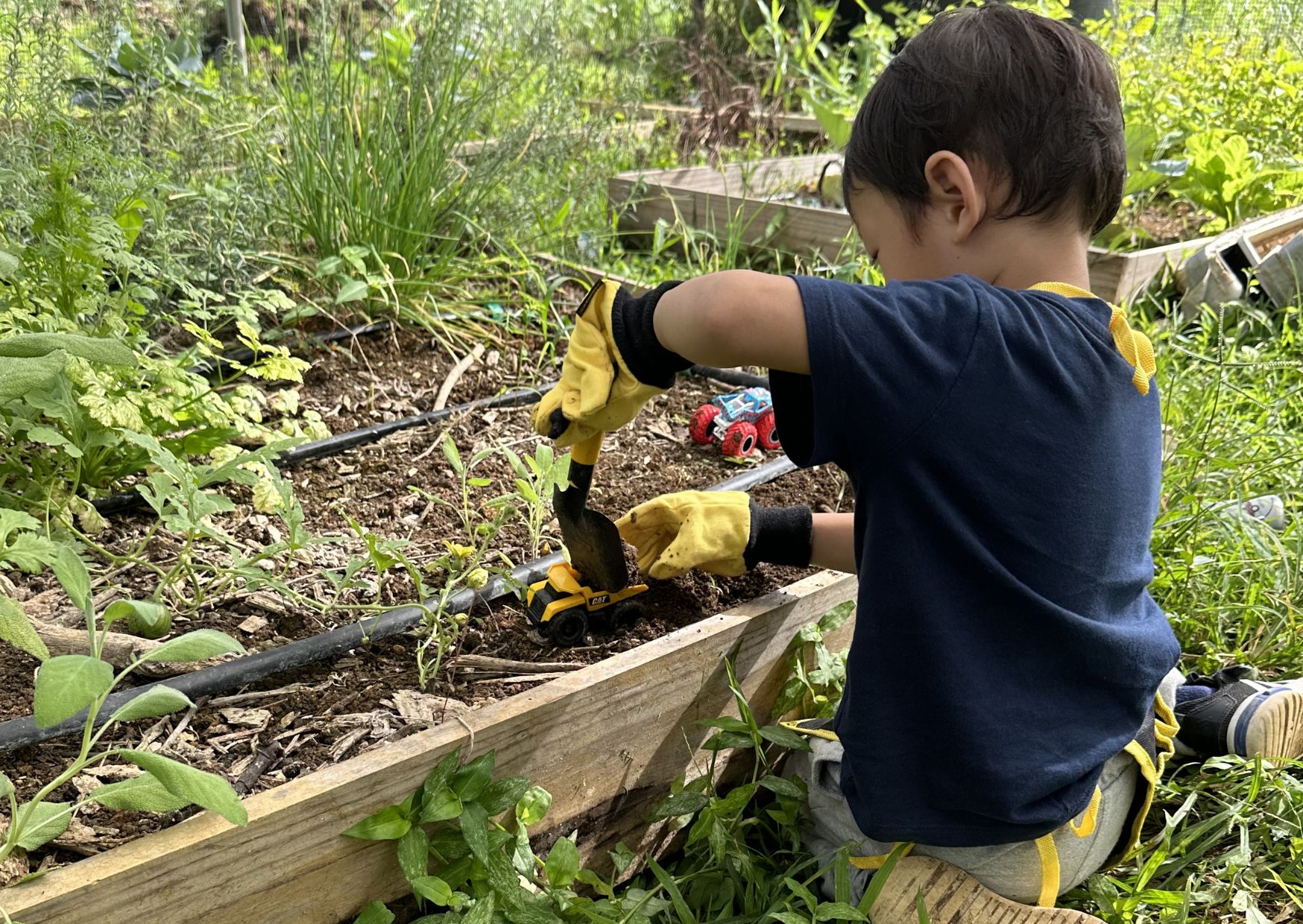 Finca Brutal teaches the next generation