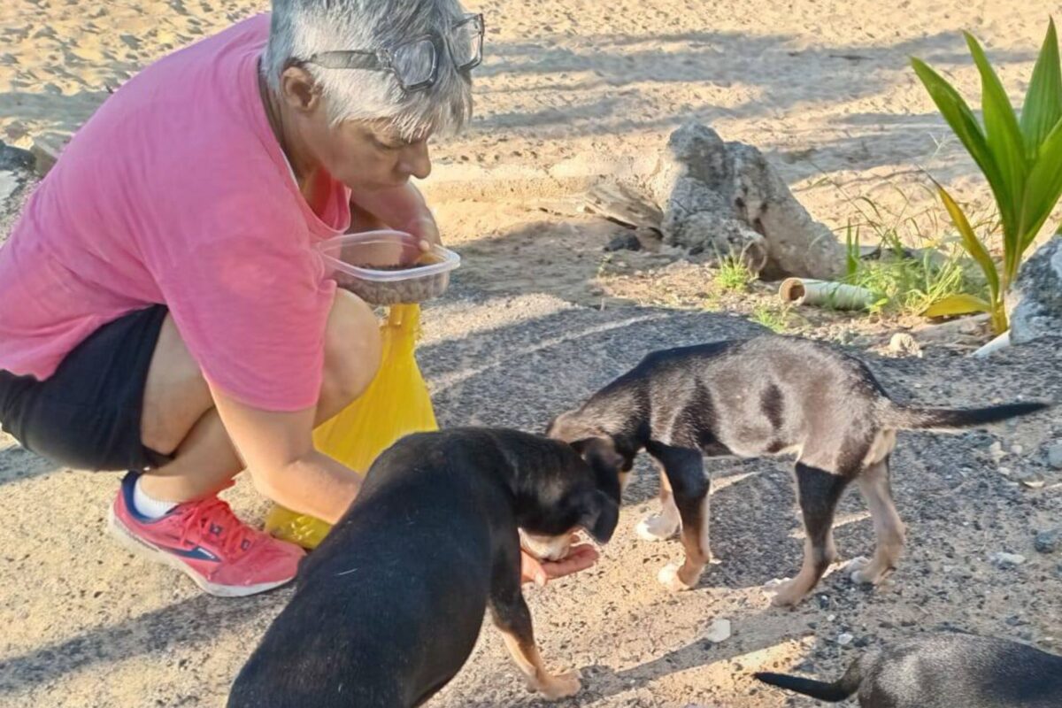 ARF'S Miriam Juan on a feeding route - one of the women helping animals