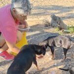 ARF'S Miriam Juan on a feeding route - one of the women helping animals