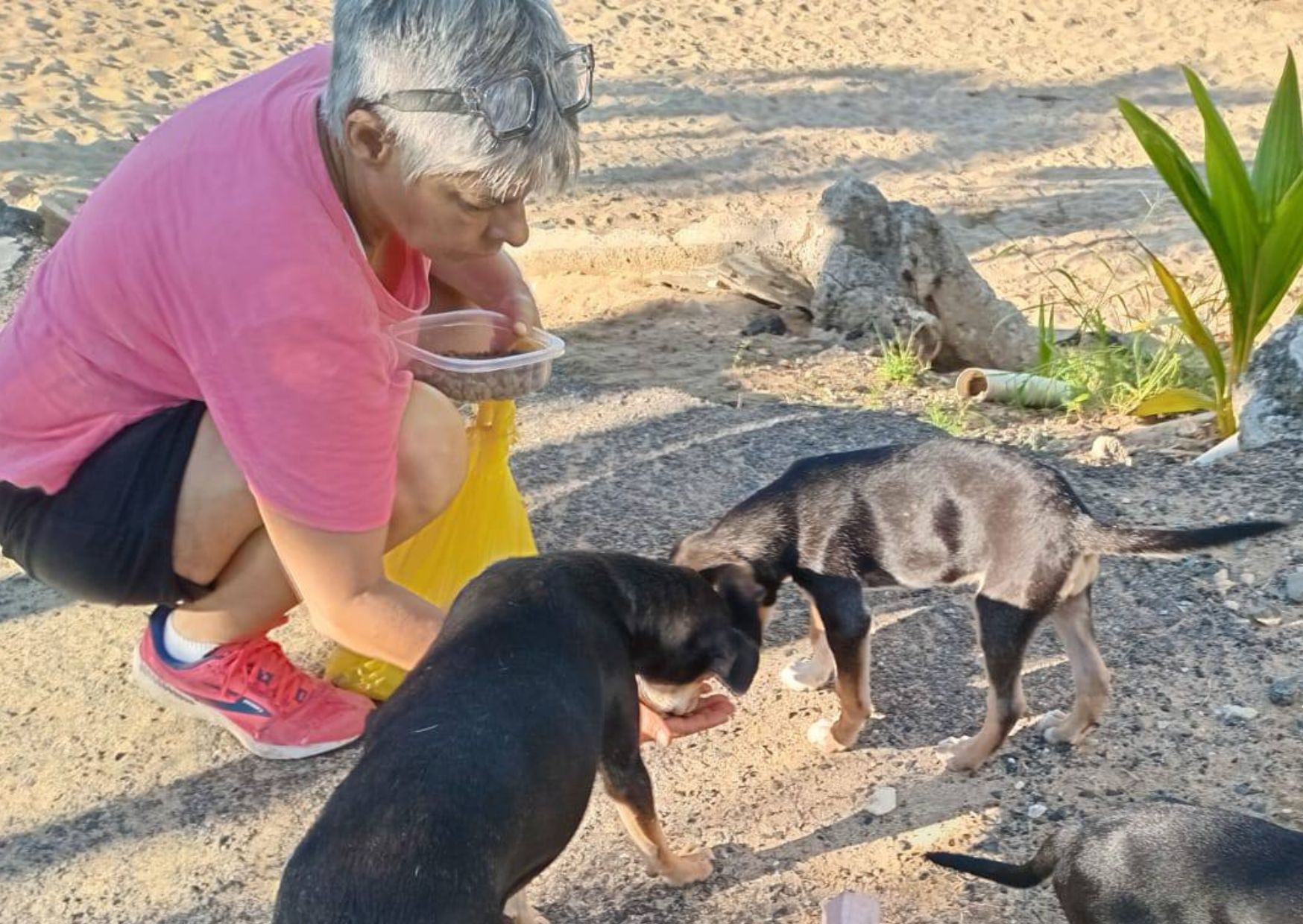 ARF'S Miriam Juan on a feeding route - one of the women helping animals