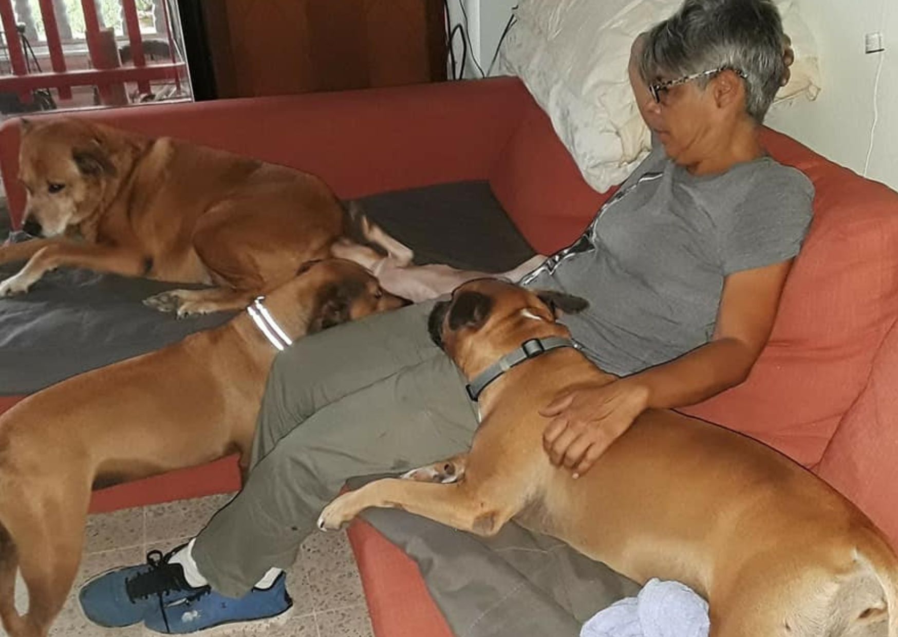 ARF's Miriam with her rescues