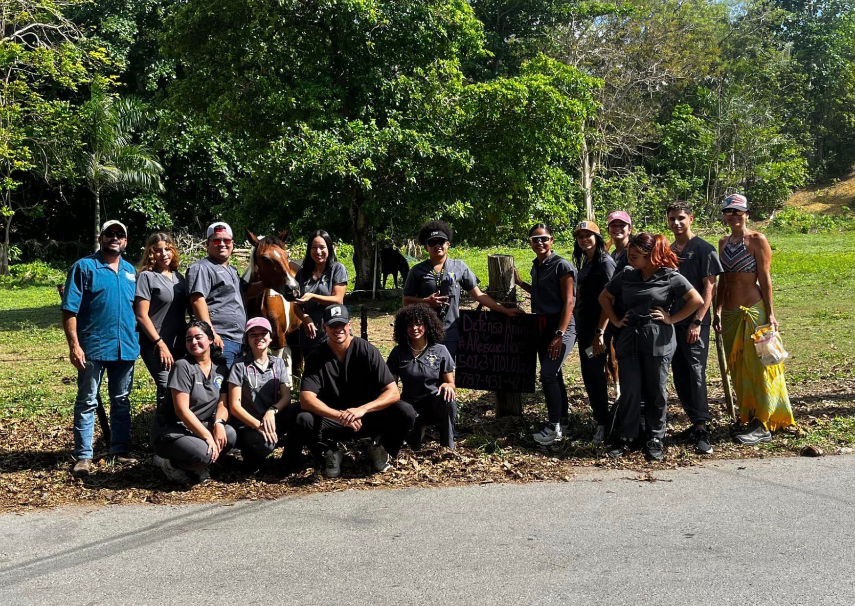 Defensa and the community helping horses