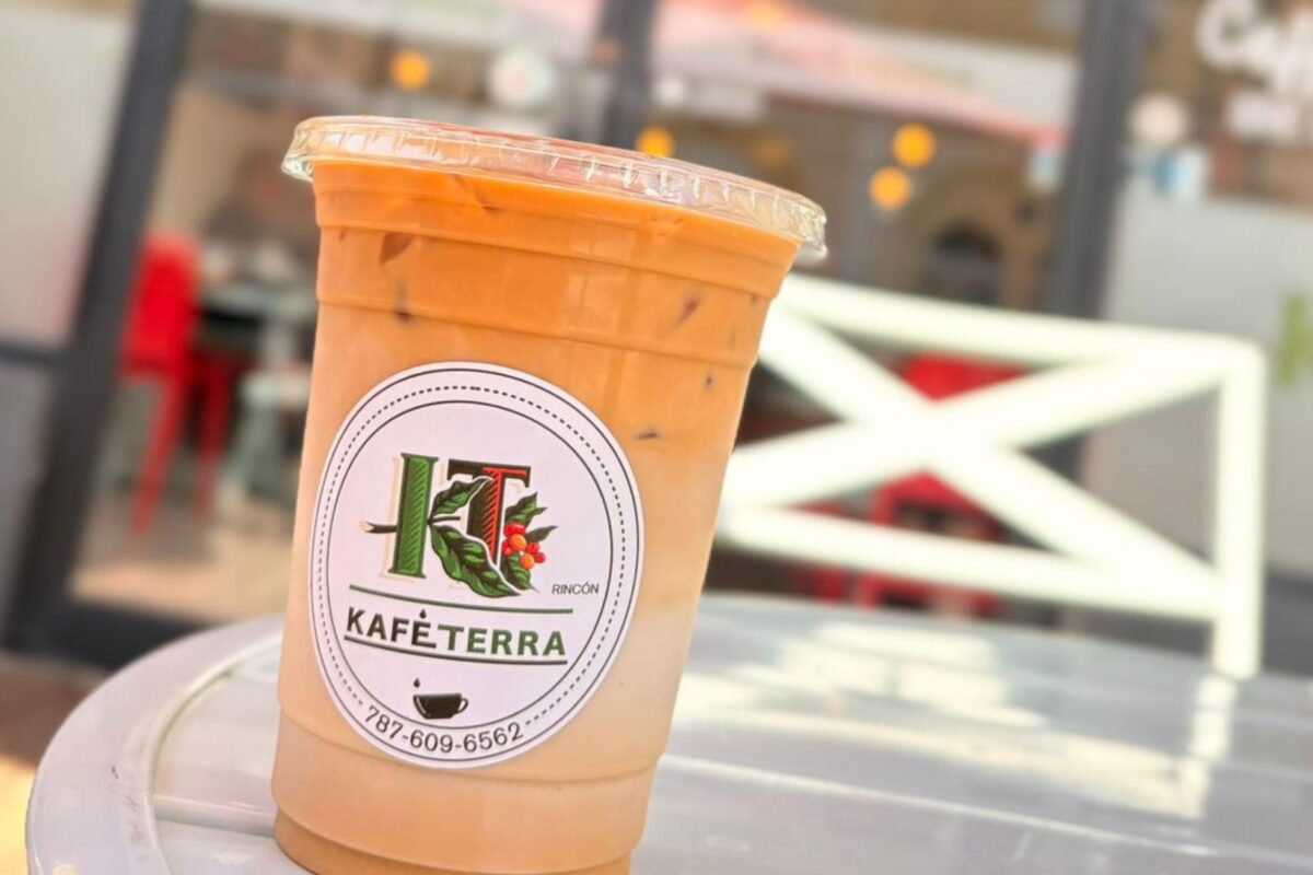 6 years of KafeTerra