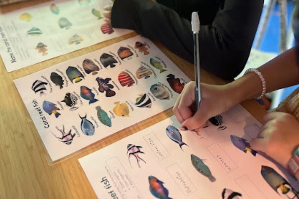 Isla Mar with 10 years of ocean learning