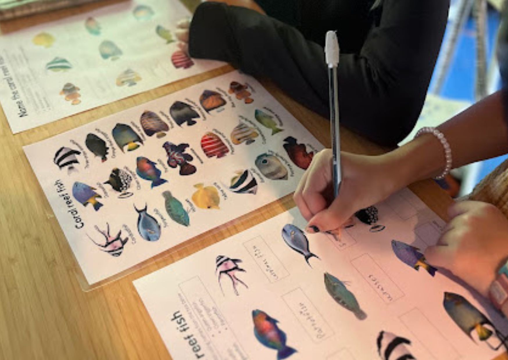 Isla Mar with 10 years of ocean learning